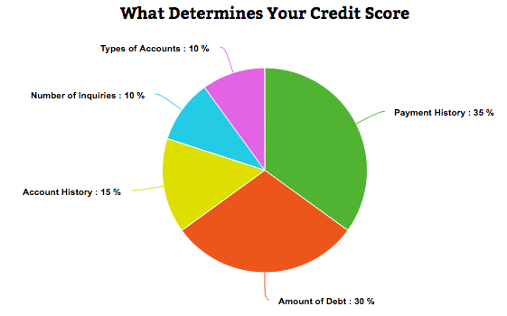What Determines Your Credit Score Pie Chart